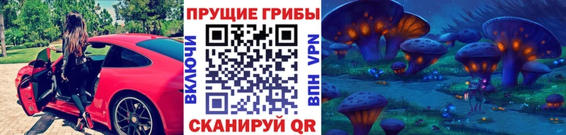 Галлюциногенные грибы Magic Shrooms  где купить наркоту  Боготол 
